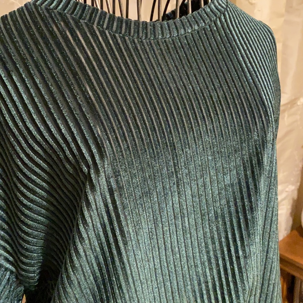 ~Dantelle~ Green Long Sleeve Velour Top